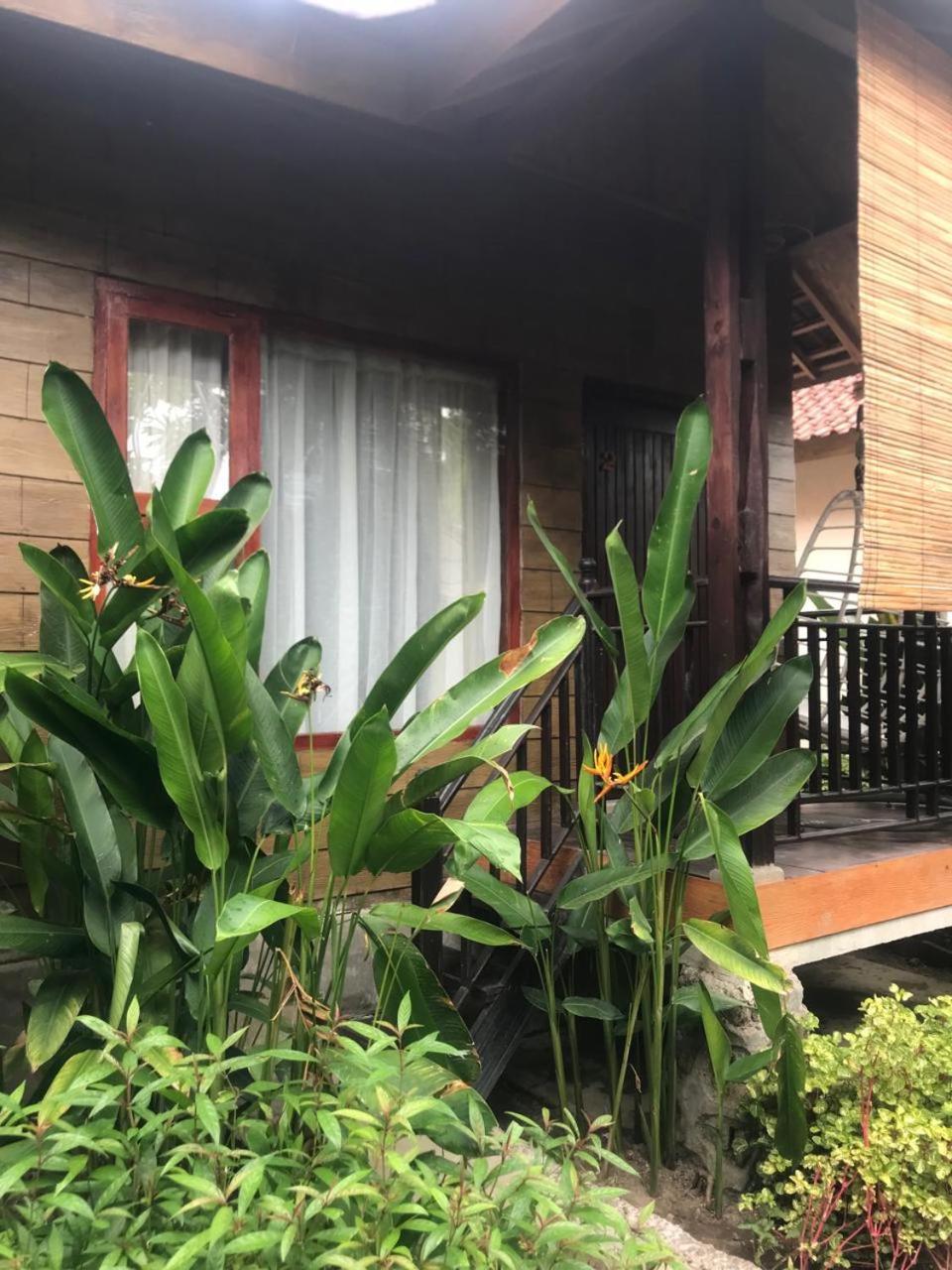 Zifa Mandalika Apartment Kuta  Exterior photo